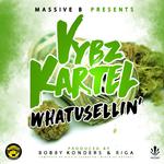 Massive B Presents: WHATUSELLIN'专辑