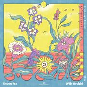 Wild Orchid
