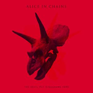 Stone - Alice in Chains (karaoke) 带和声伴奏 （升7.5半音）