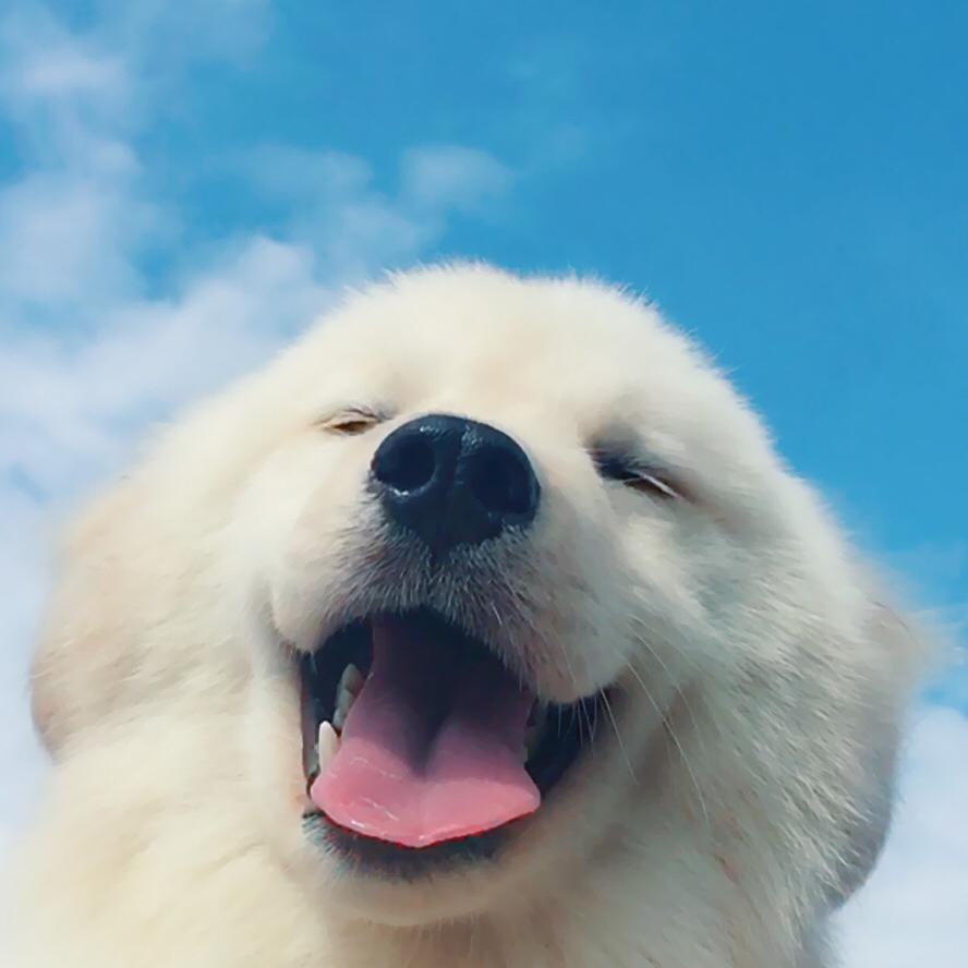 等待整个冬天