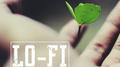 GIVER OF LIFE - Lofi Hip Hop Beats专辑