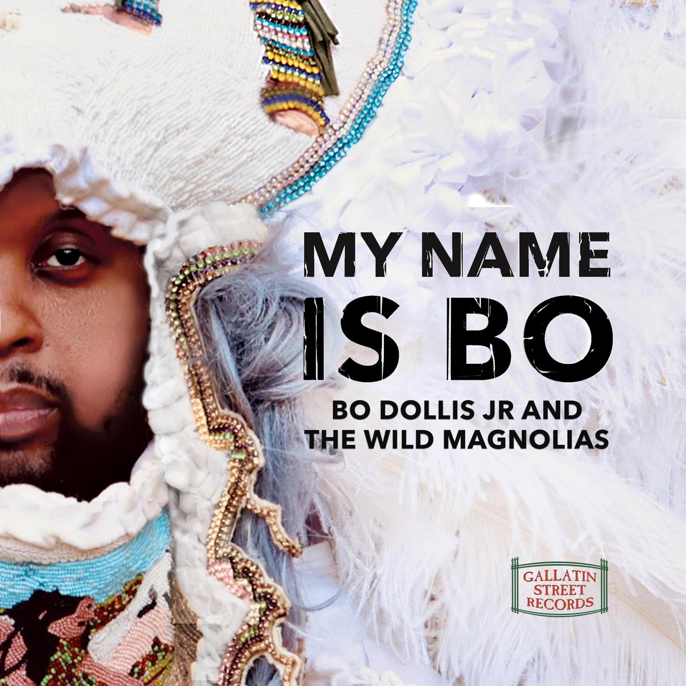Bo Dollis Jr - Roll with the Big Chief