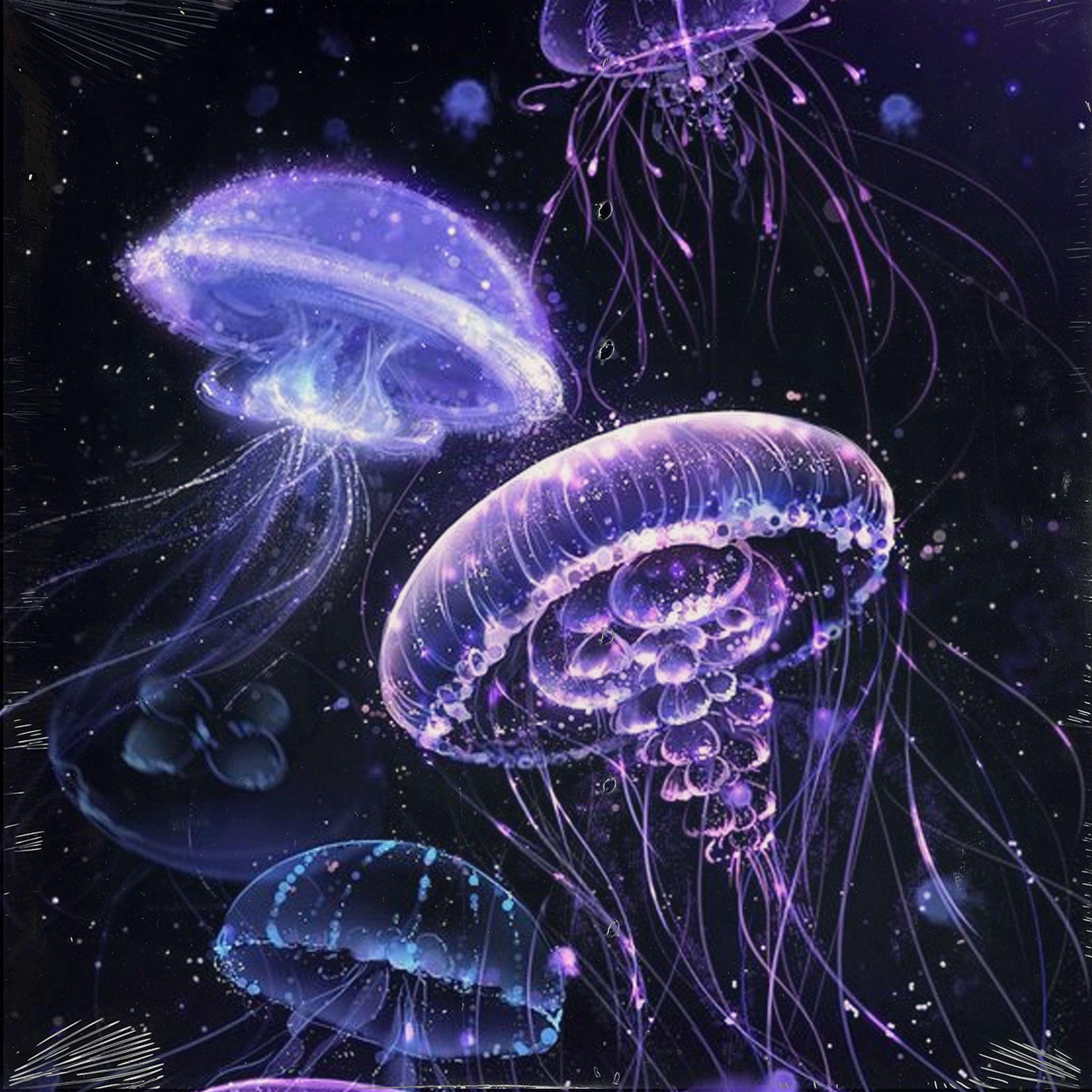 免费- Waterproof @SHOBEATZ