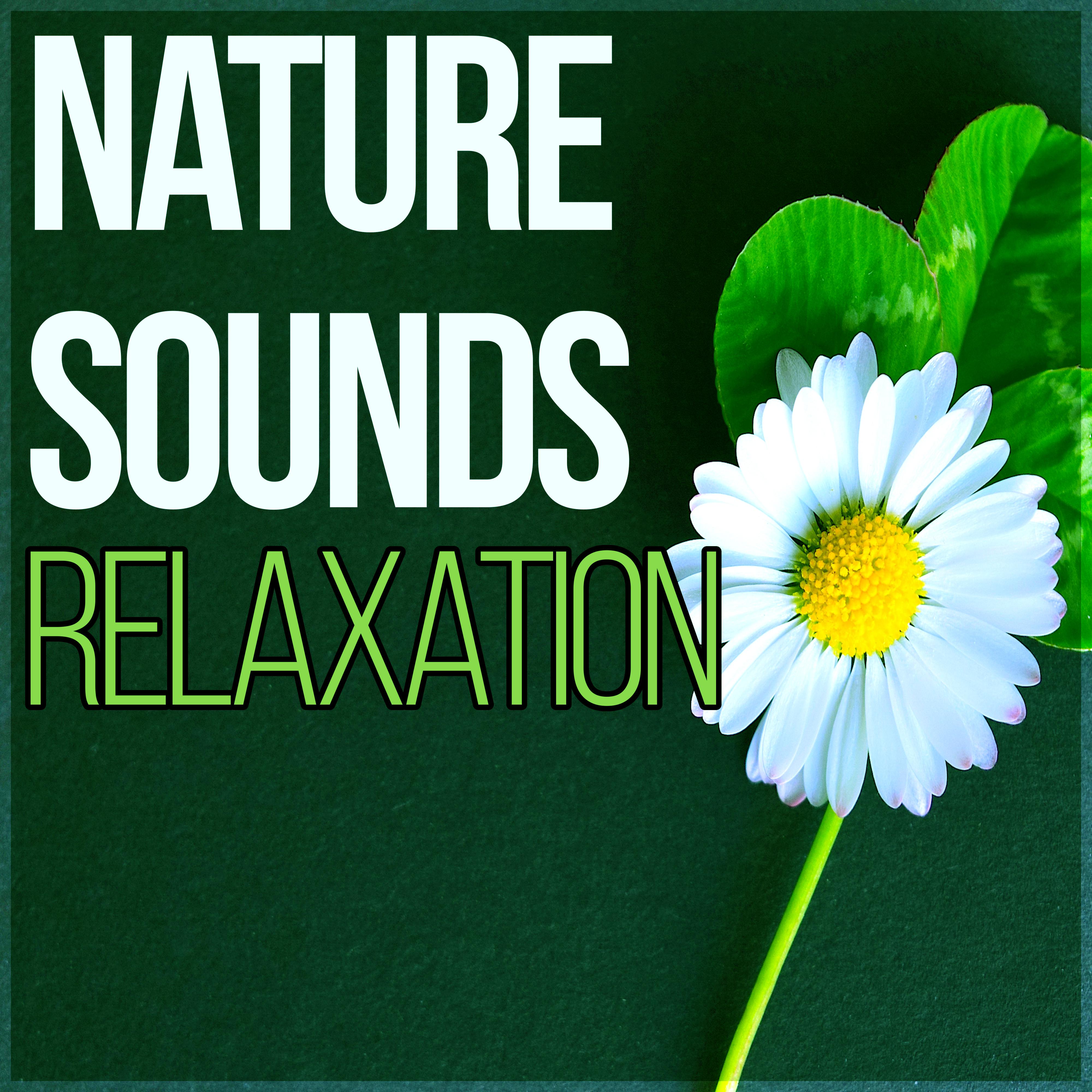Hypnosis Nature Sounds Universe - Healing Flute Chakras