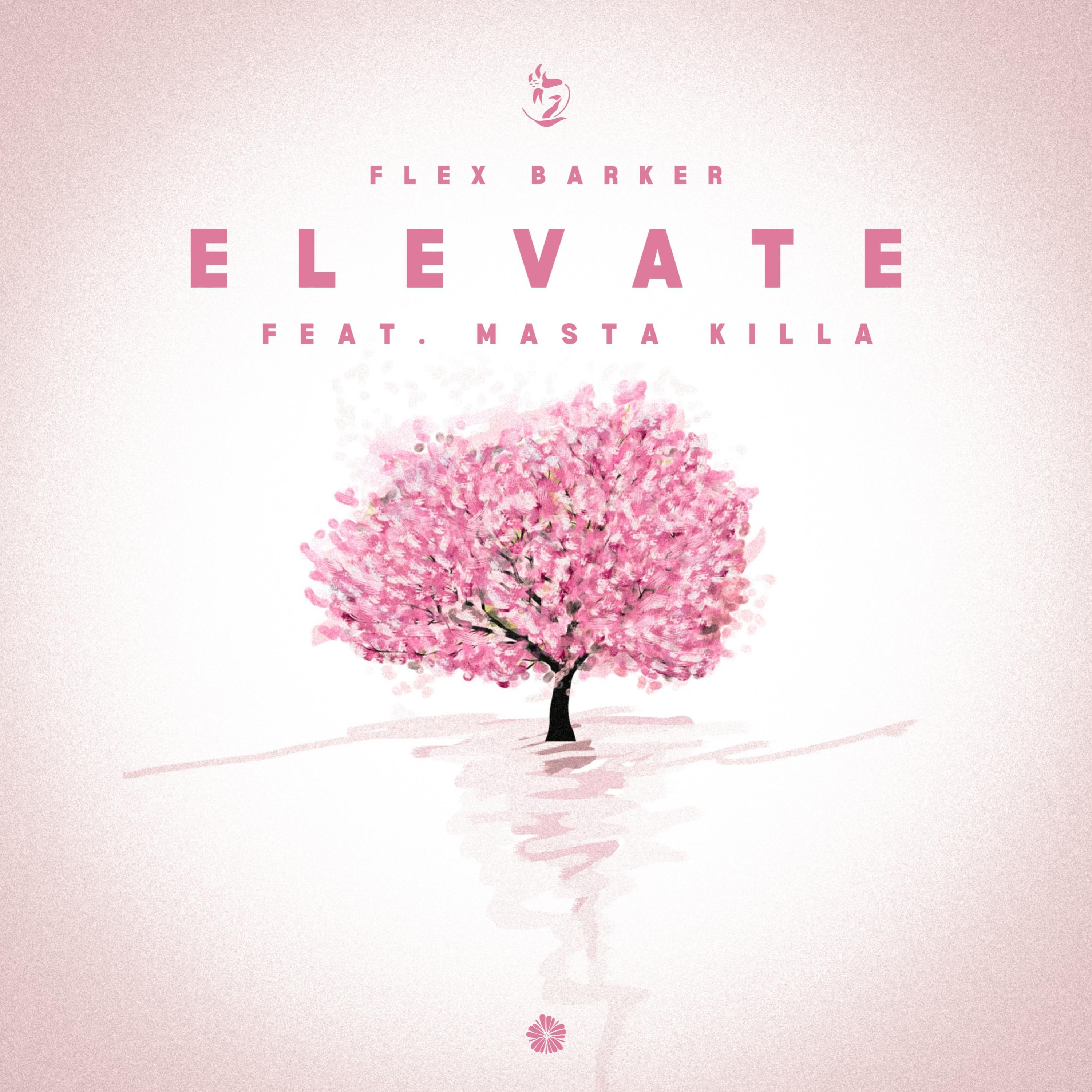 Elevate (feat. Masta Killa)