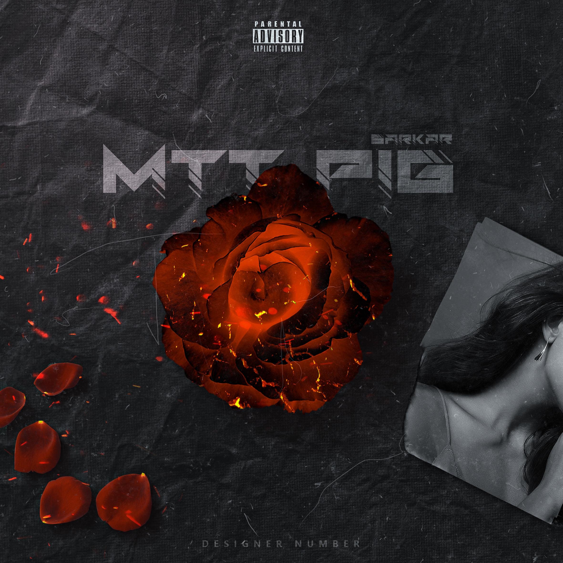 Mtt pig