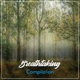 #16 Breathtaking Compilation for Meditation and Sleep