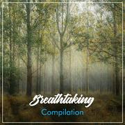 #16 Breathtaking Compilation for Meditation and Sleep