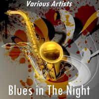 Blues In The Night - Frank Sinatra (karaoke)