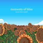 Moments Of Bliss专辑