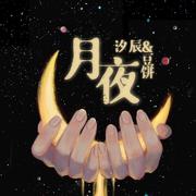 月夜（翻自 双笙）