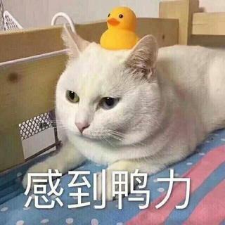 网易云少年音乐大赛参赛曲目