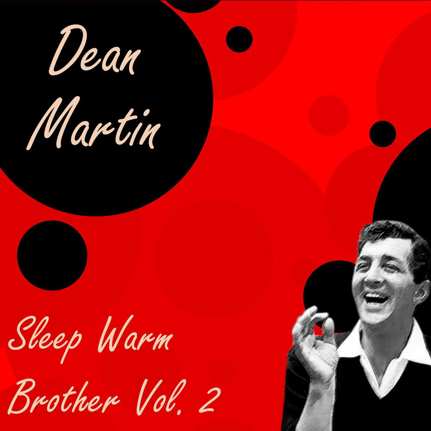 Sleep Warm Brother Vol.  2专辑