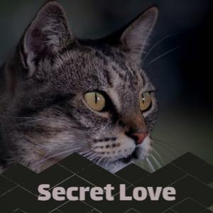 Secret Love - Doris Day (钢琴伴奏)