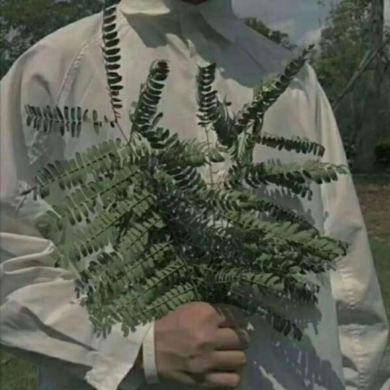 男儿当自强 (DJ野马版)