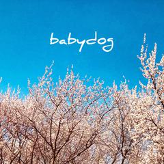 坤木Joymo,Raychen《BABYDOG吉他谱》A调_节奏激发情感共鸣