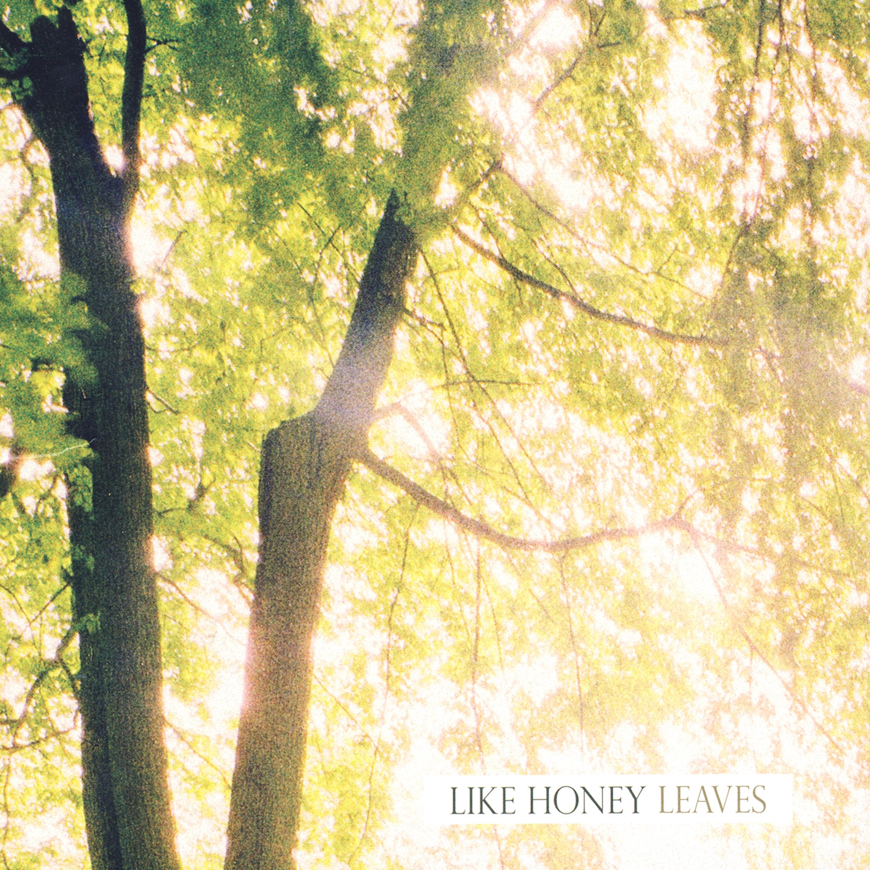 Leaves