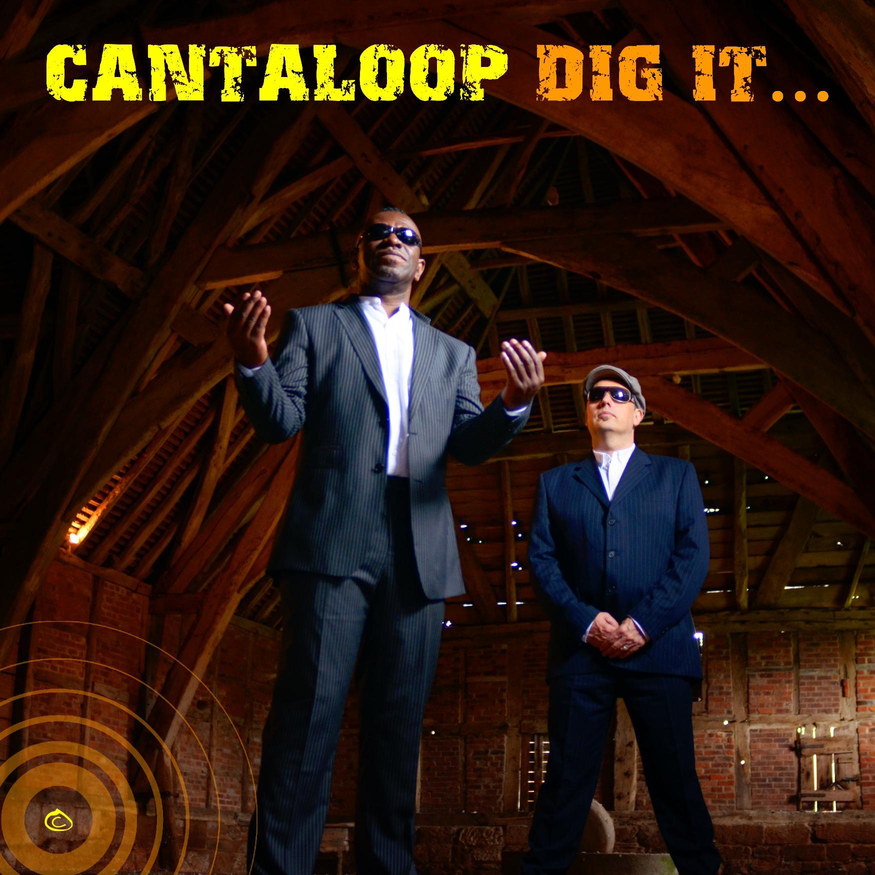 Dig It...