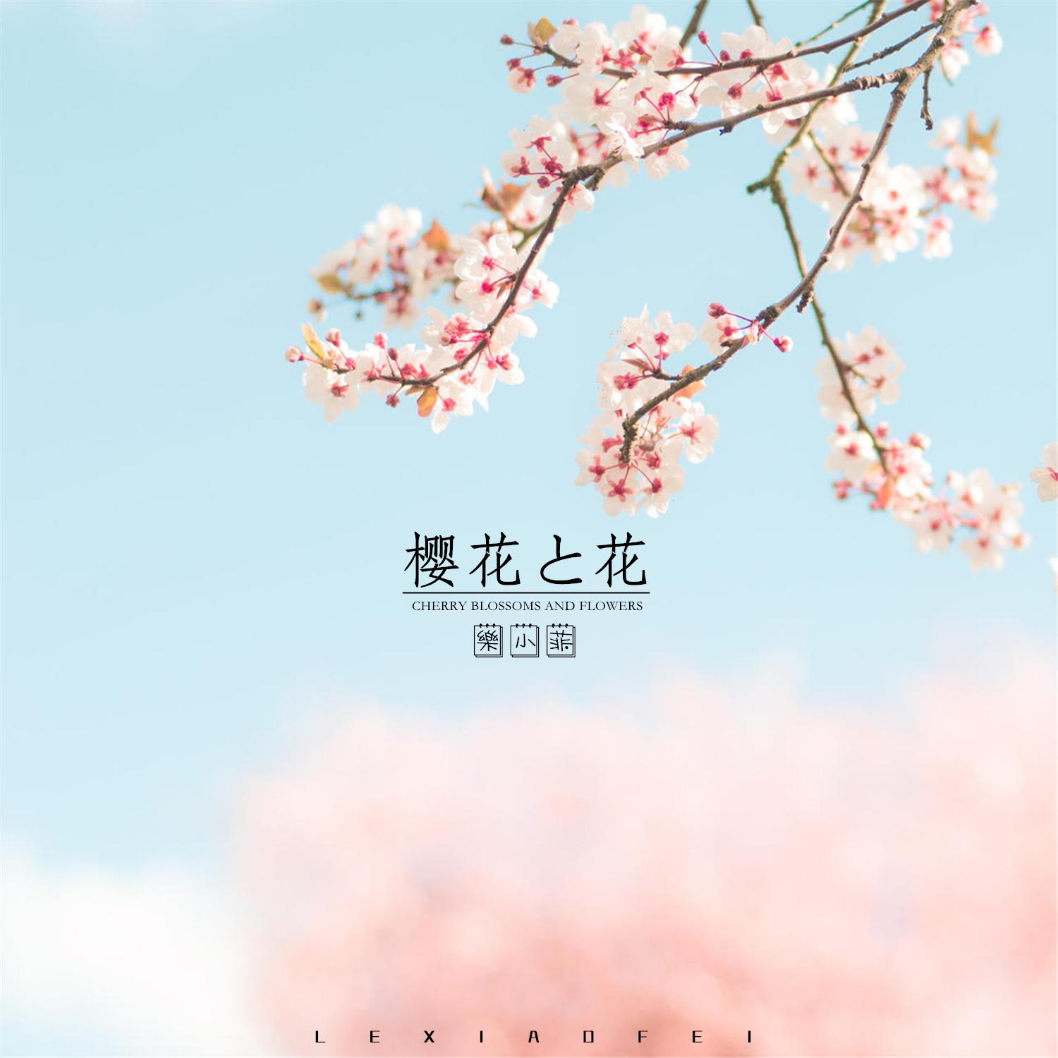 樱花与花专辑