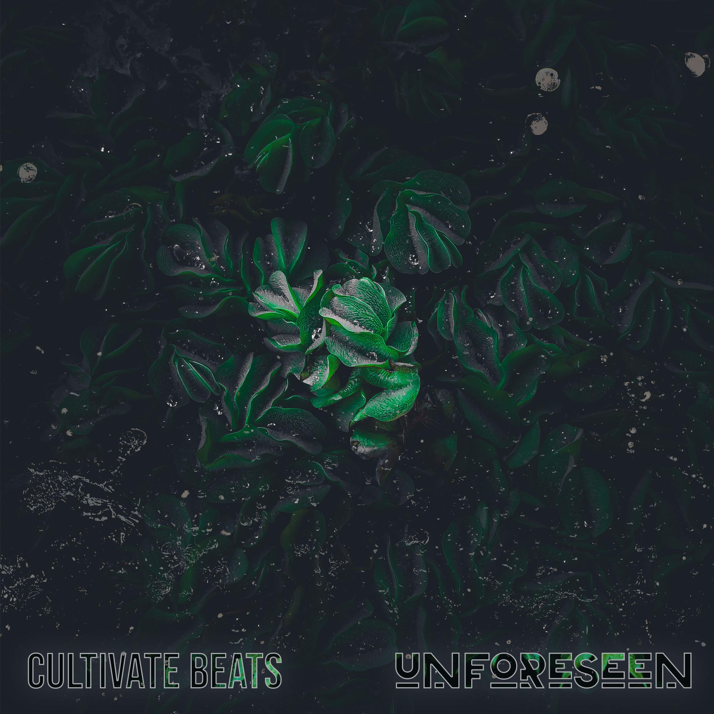 Cultivate Beats - Pond Water