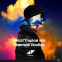 Avcii/Tropical mix Bramwell Bootleg专辑