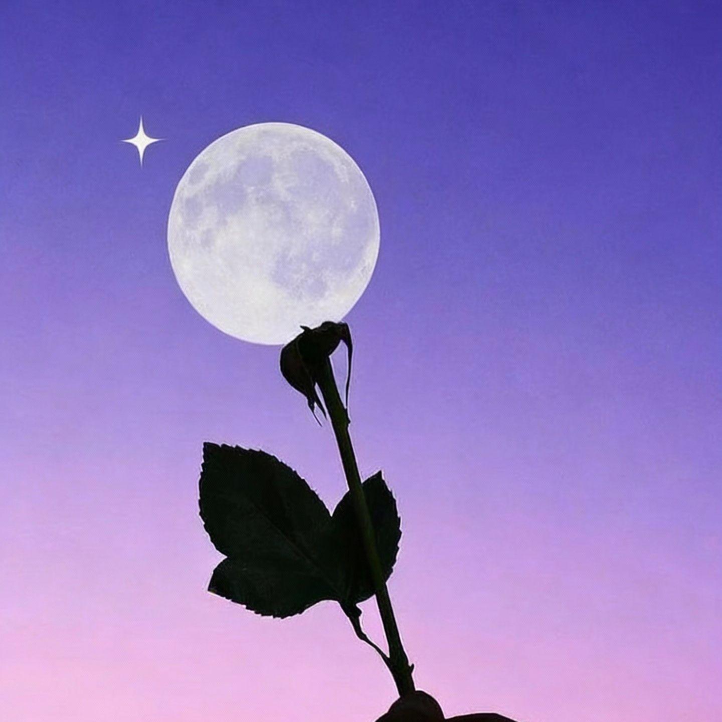 失眠（最后还是失眠）