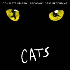 CATS-Macavity: the mystery cat （降1半音）