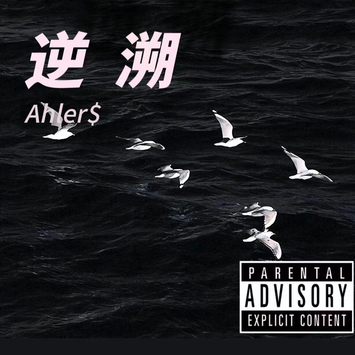 徊游 (ft.Na$$h Roller)