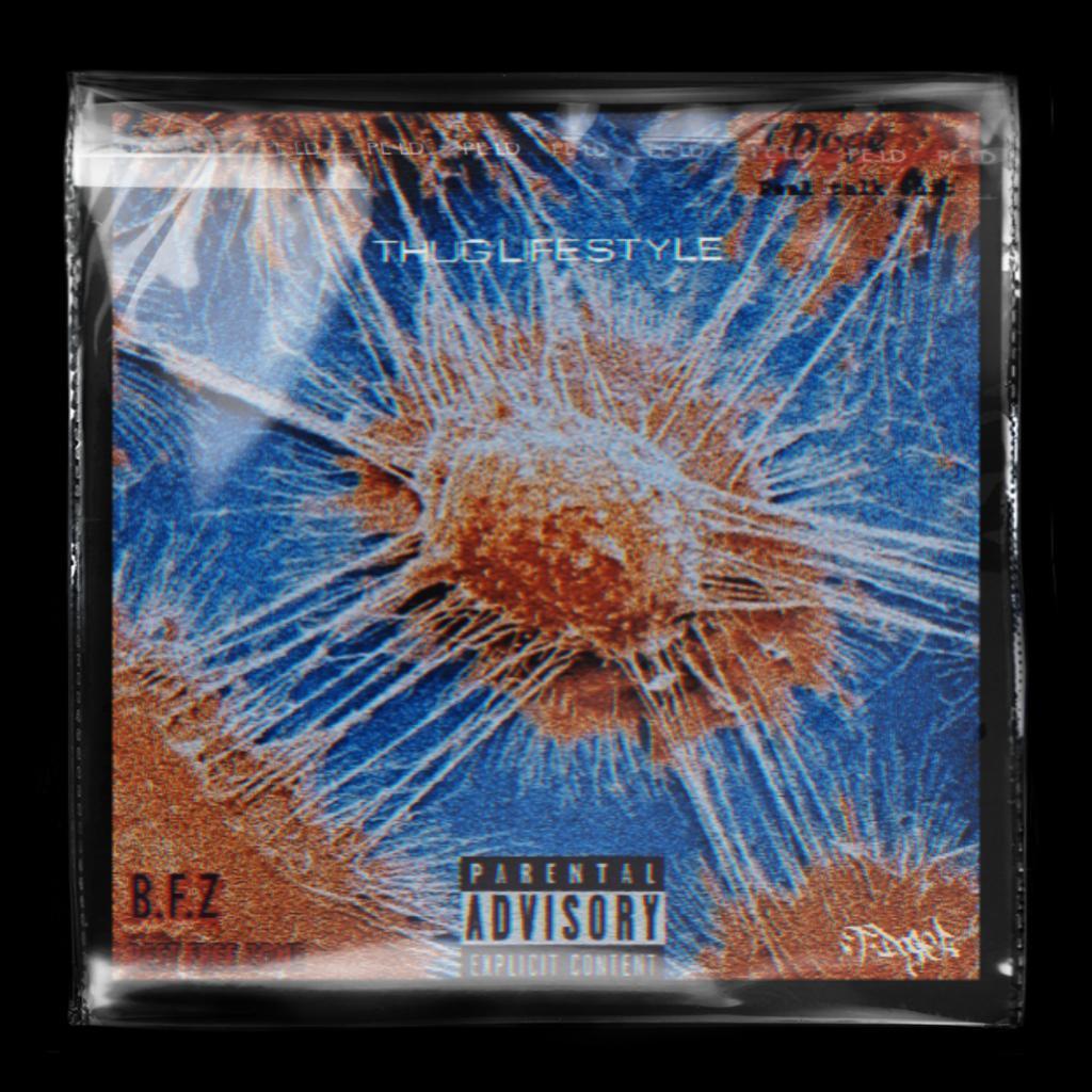 我只是做着我们这个年龄应该做的事情(Thug Life Style)