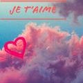 Je T'aime Mon Amour