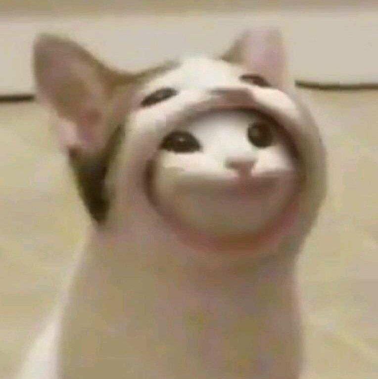 meme视频bgm集锦