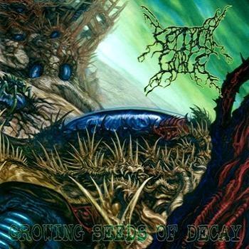 Growing Seeds of Decay