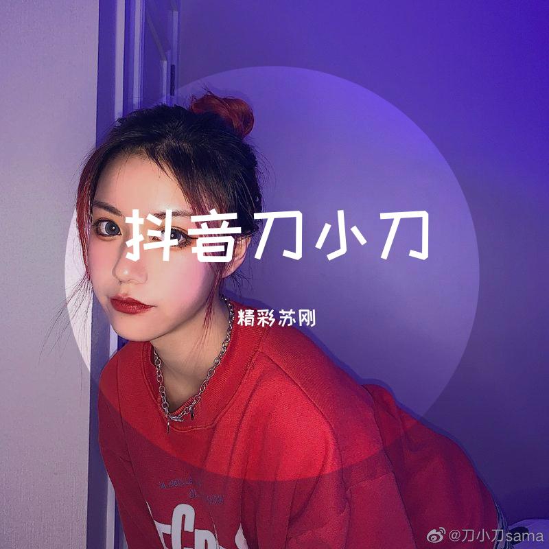 精彩苏刚歌曲封面