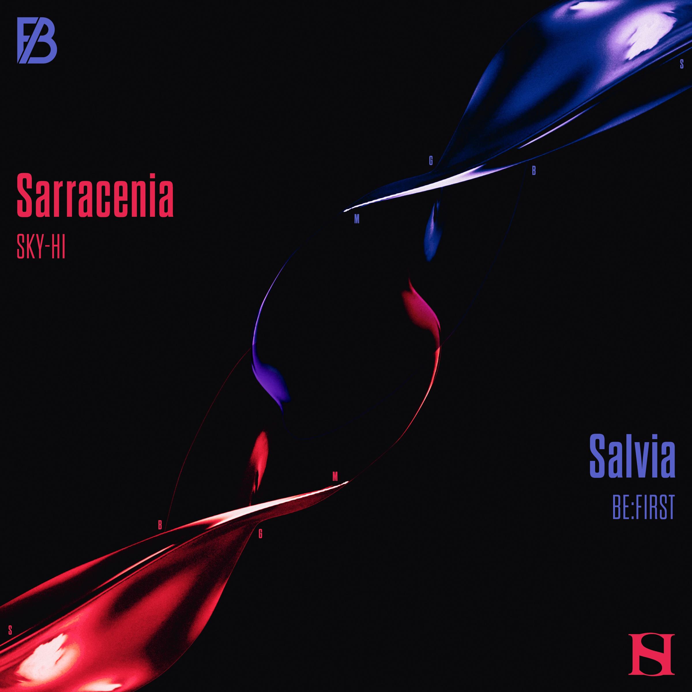 Sarracenia / Salvia专辑