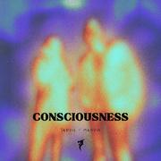 Consciousness (Extended Mix)