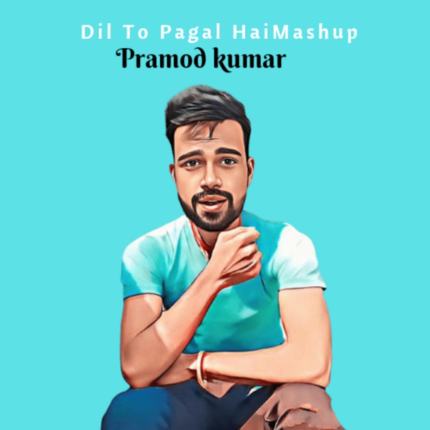 Dil To Pagal Hai Mashup