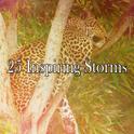 25 Inspiring Storms专辑