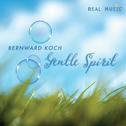 Gentle Spirit专辑