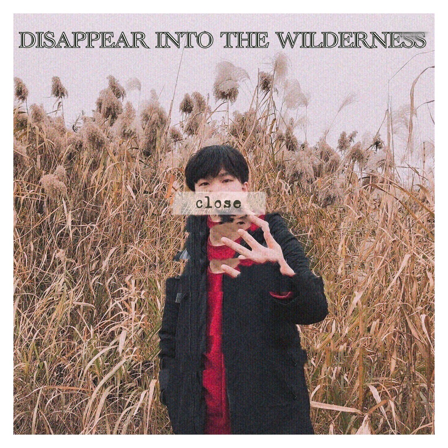Disappear into the Wilderness