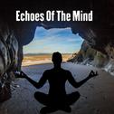 Echoes Of The Mind专辑