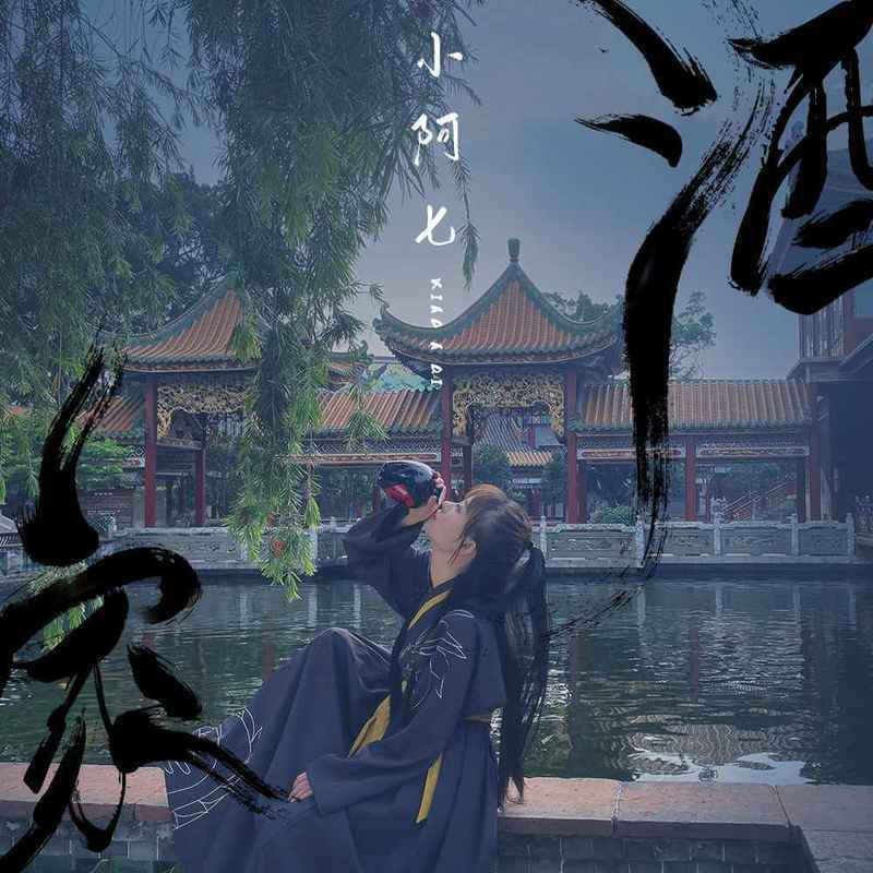酒家(DJ铁柱版)