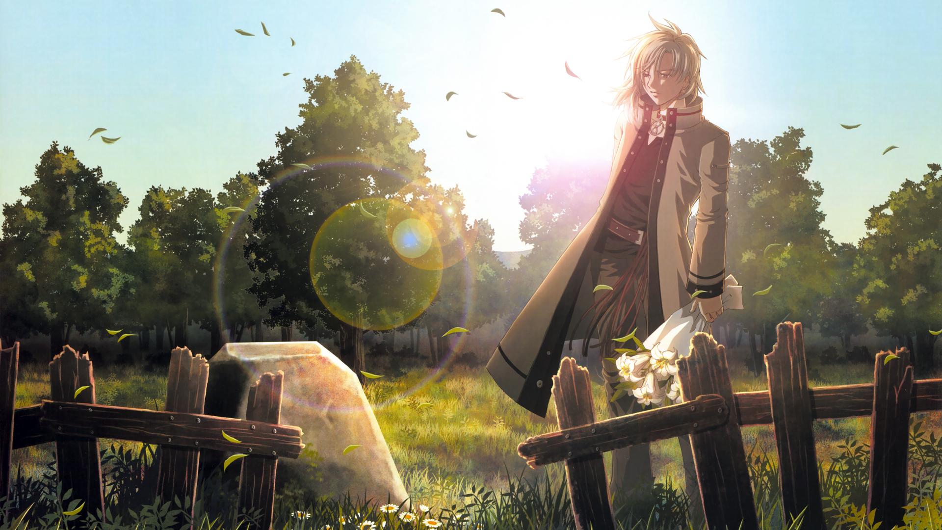 阿尔摩里卡村coverfalcomsoundteamjdk