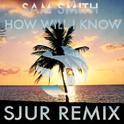 How Will I Know (SJUR Remix) 专辑