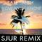 How Will I Know (SJUR Remix) 专辑