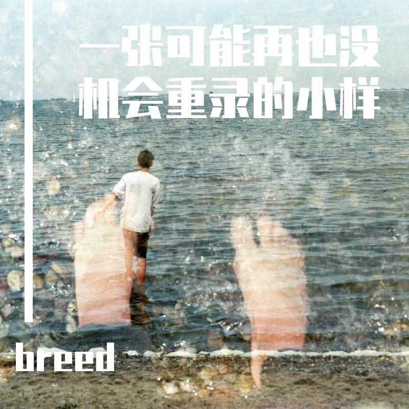 一张可能再也没有机会重录的小样