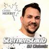 Chris Herbst - Sternenstaub (DJ Clubmix)