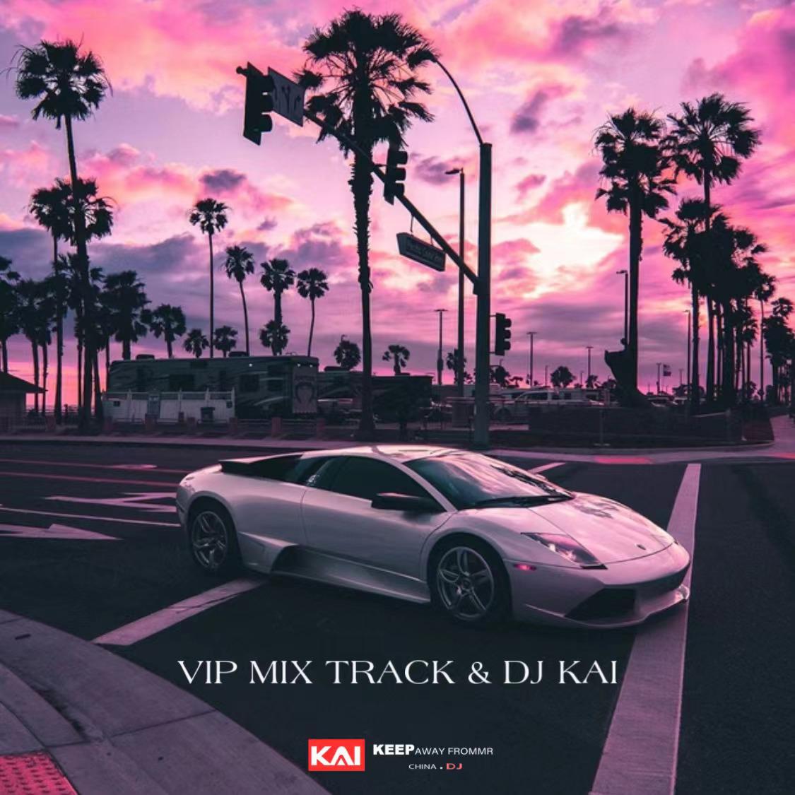 VIP MIX TRACK (2021)