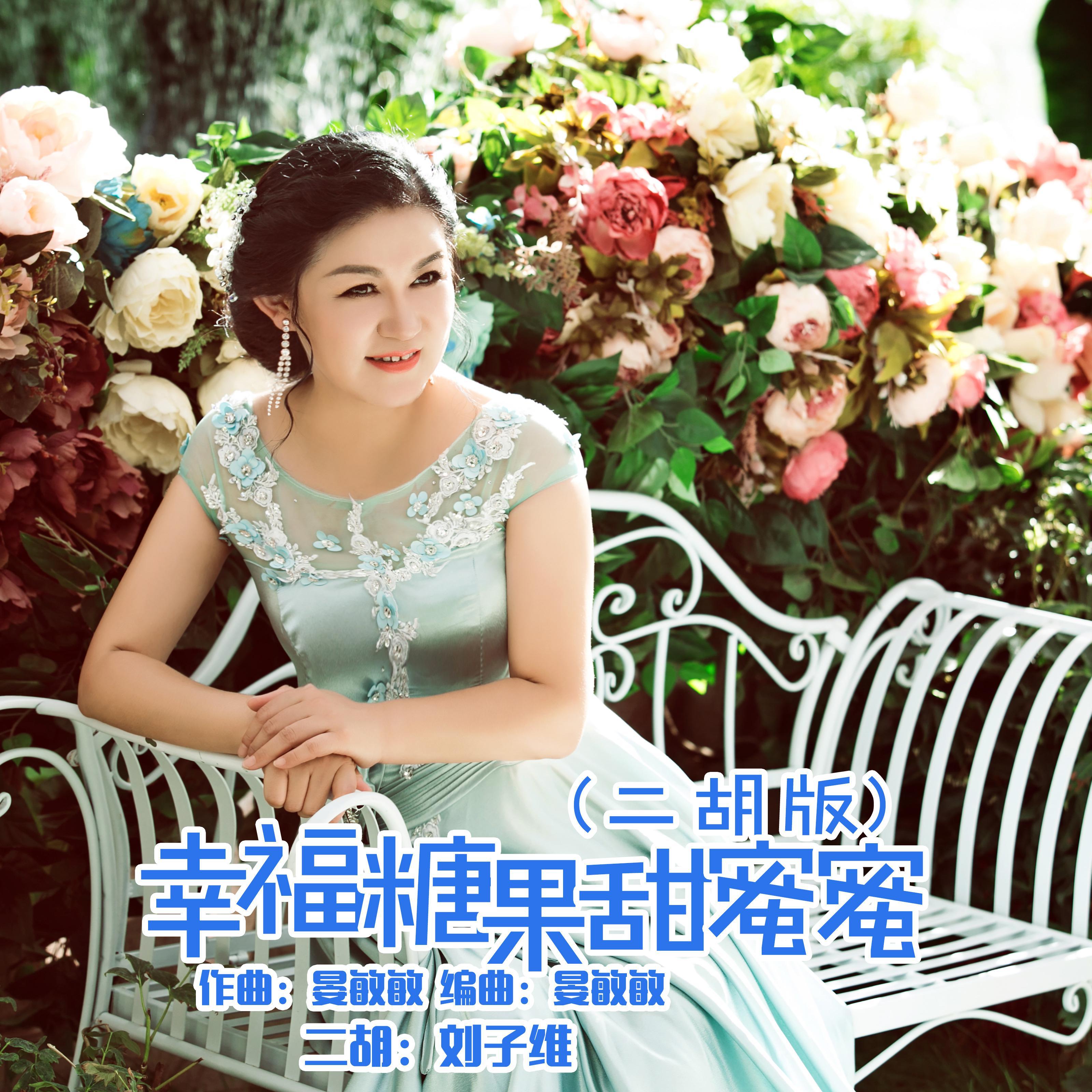 幸福糖果甜蜜蜜 (二胡版)