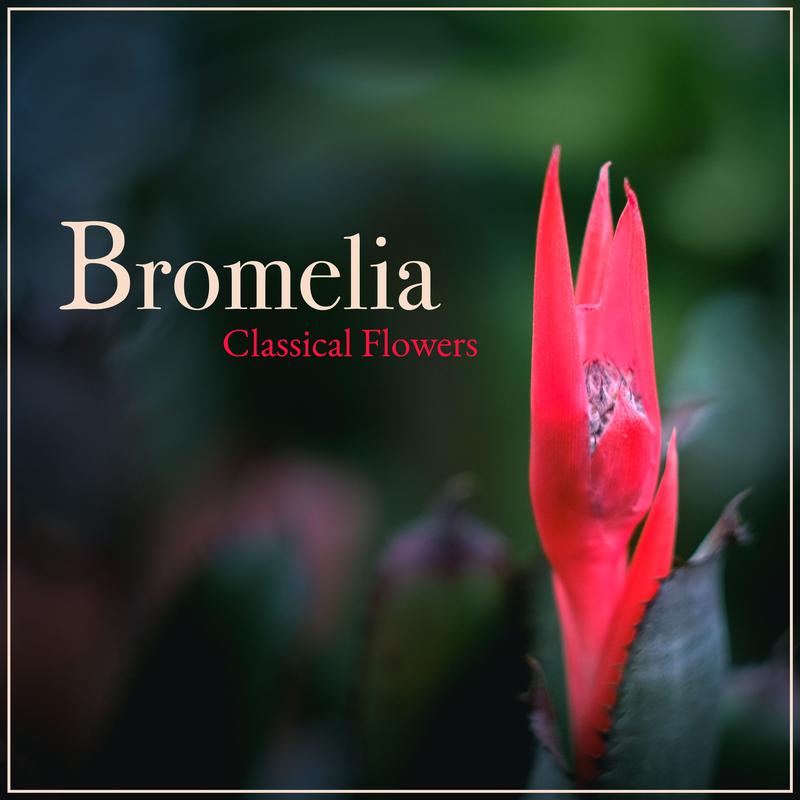 Valse sentimentale, Op. 51 No. 6 (Arr. Peinado for Violin & Piano)