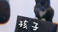 孩子专辑